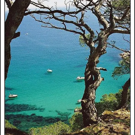 Cau De Creus Appartement *